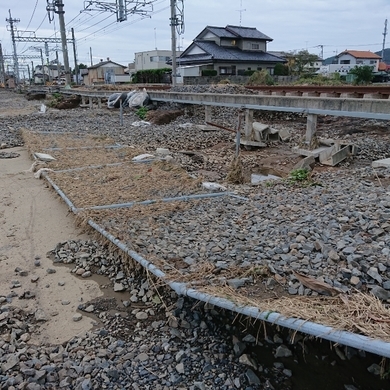 ���N���͎O���̓��I