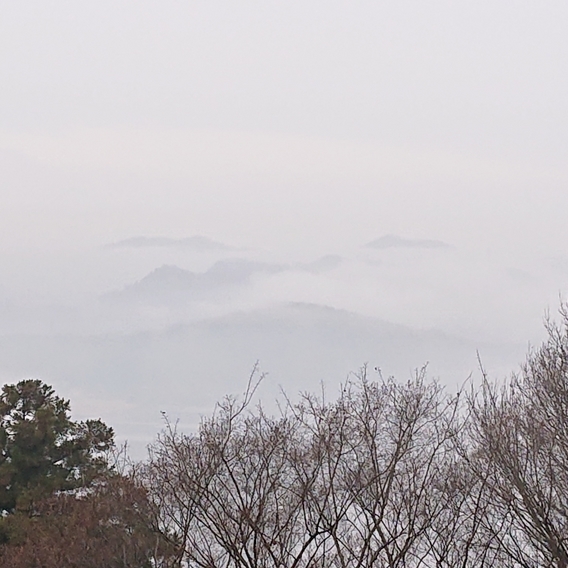 ���N���͎O���̓��I