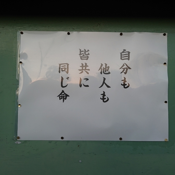 ���N���͎O���̓��I