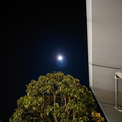 ���N���͎O���̓��I