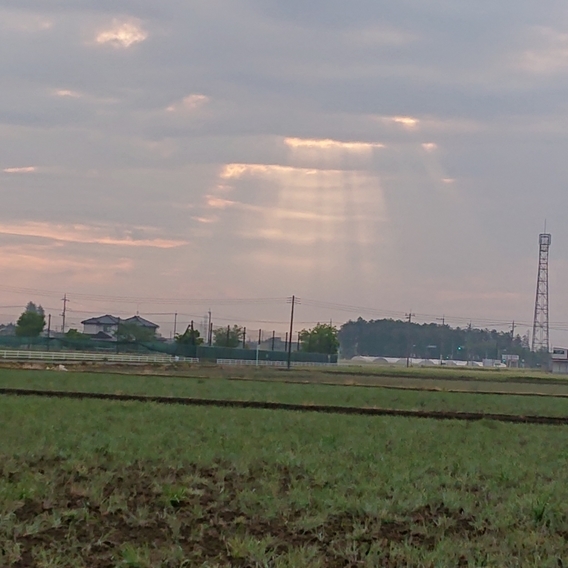 ���N���͎O���̓��I