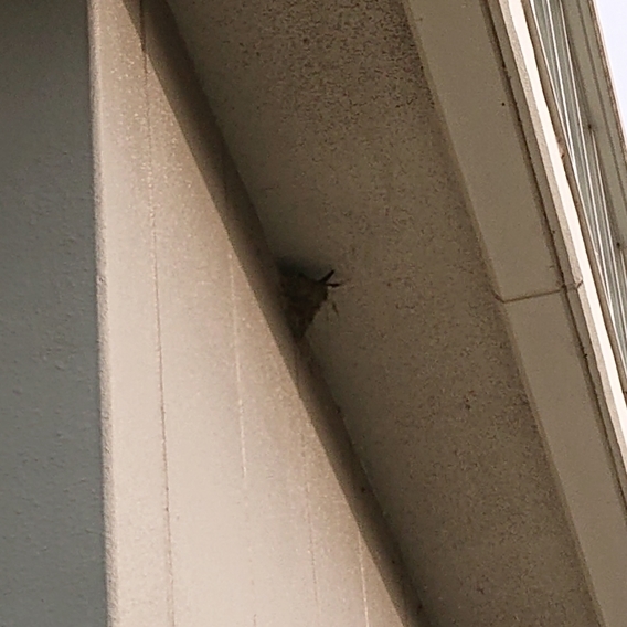 ���N���͎O���̓��I