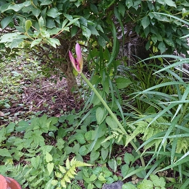 ���N���͎O���̓��I