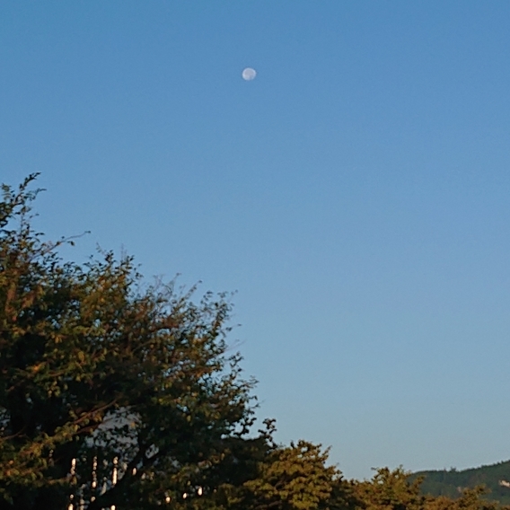 ���N���͎O���̓��I