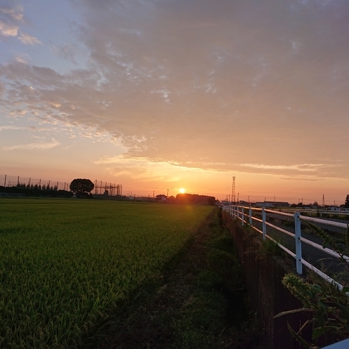 ���N���͎O���̓��I