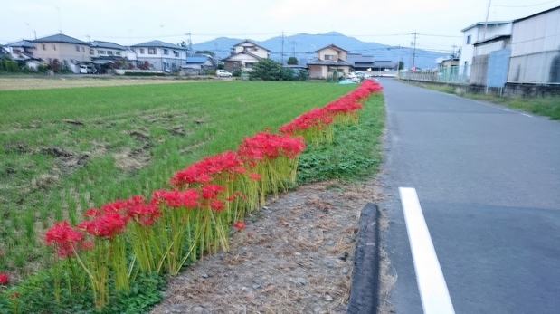 ���N���͎O���̓��I