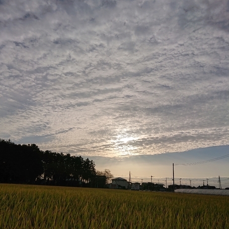 ���N���͎O���̓��I