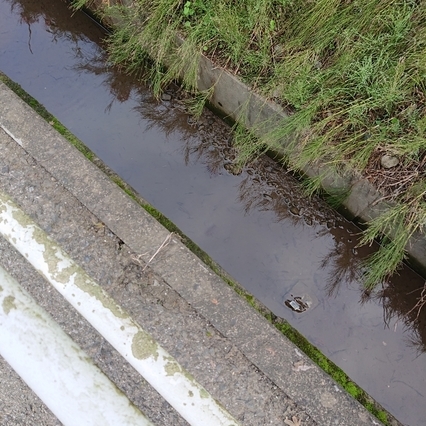 ���N���͎O���̓��I