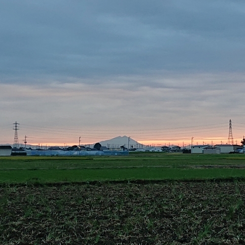 ���N���͎O���̓��I