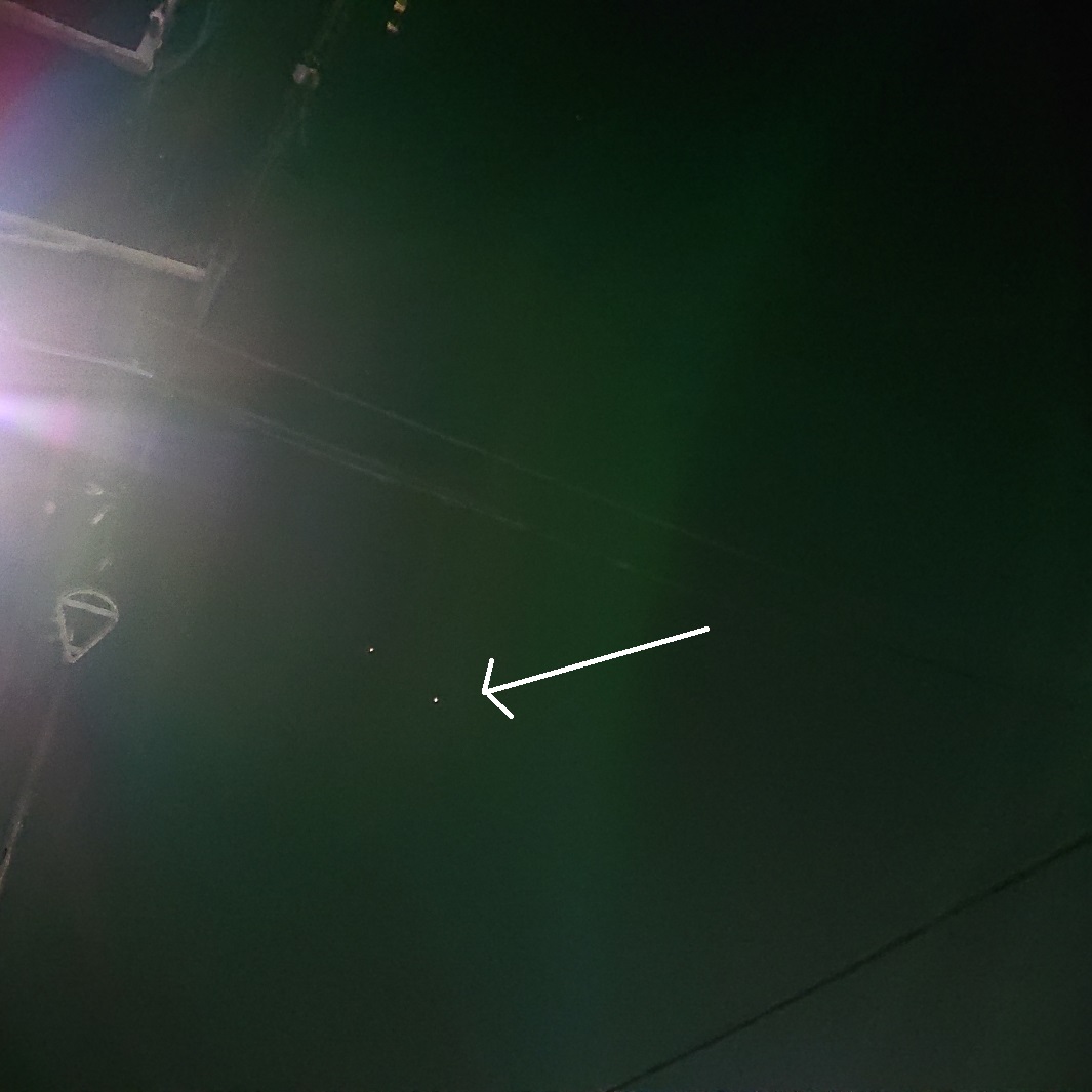 ���N���͎O���̓��I