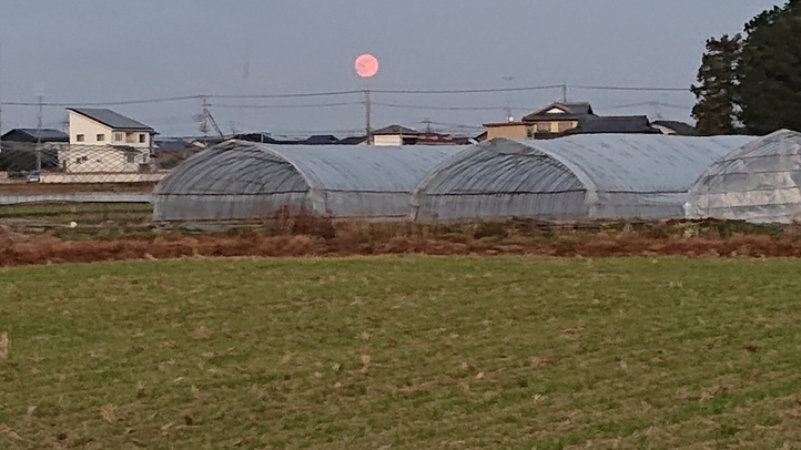 ���N���͎O���̓��I