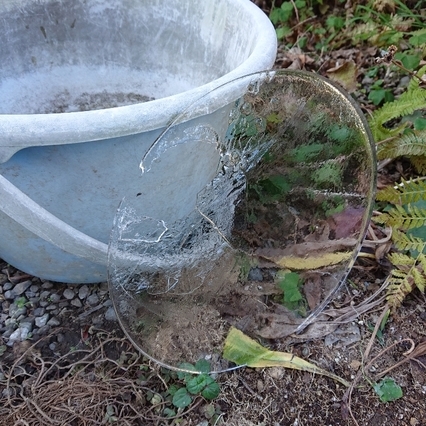 ���N���͎O���̓��I