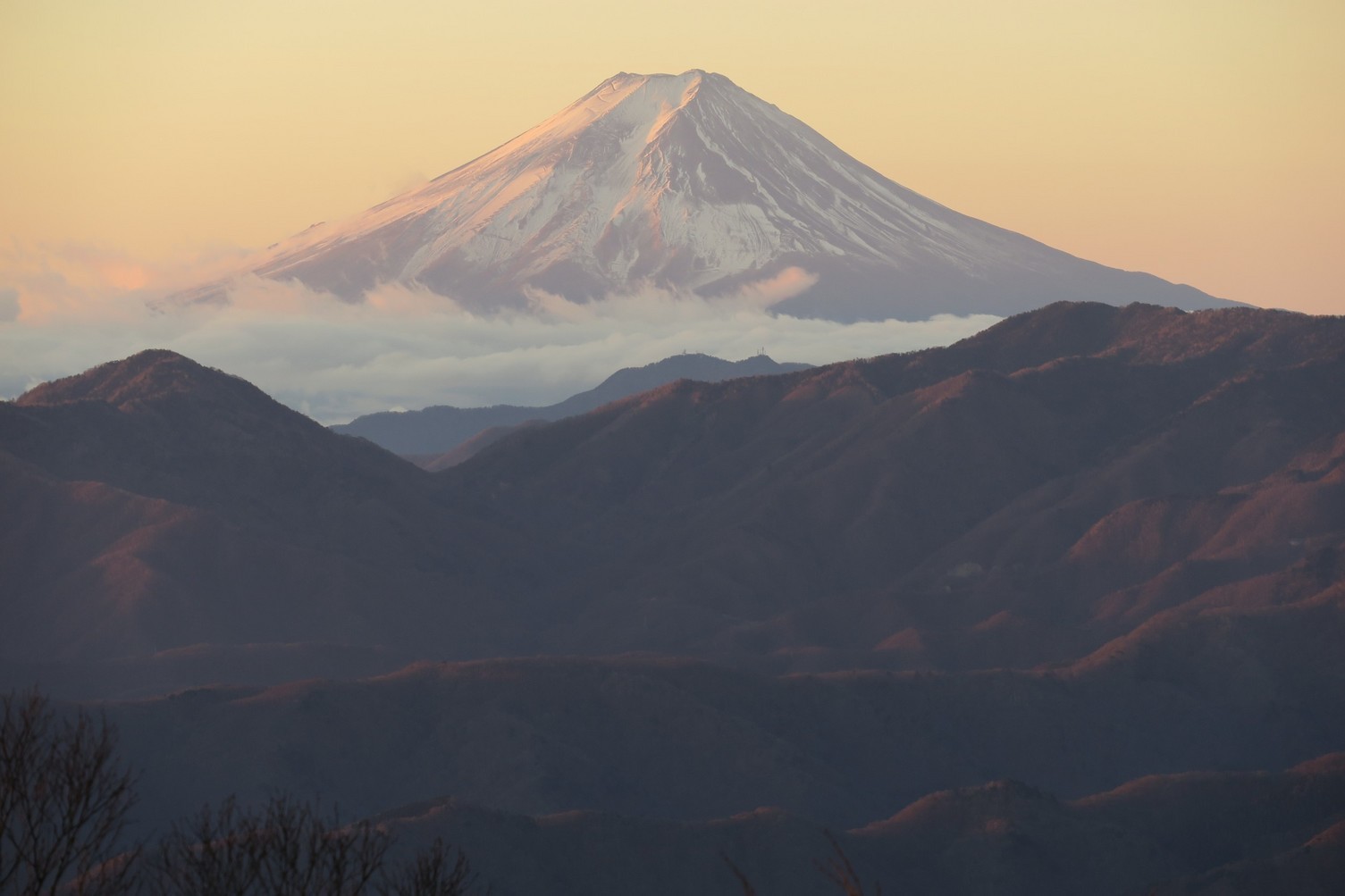 ���N���͎O���̓��I