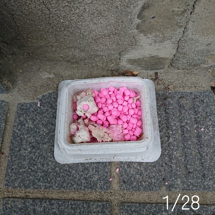 ���N���͎O���̓��I