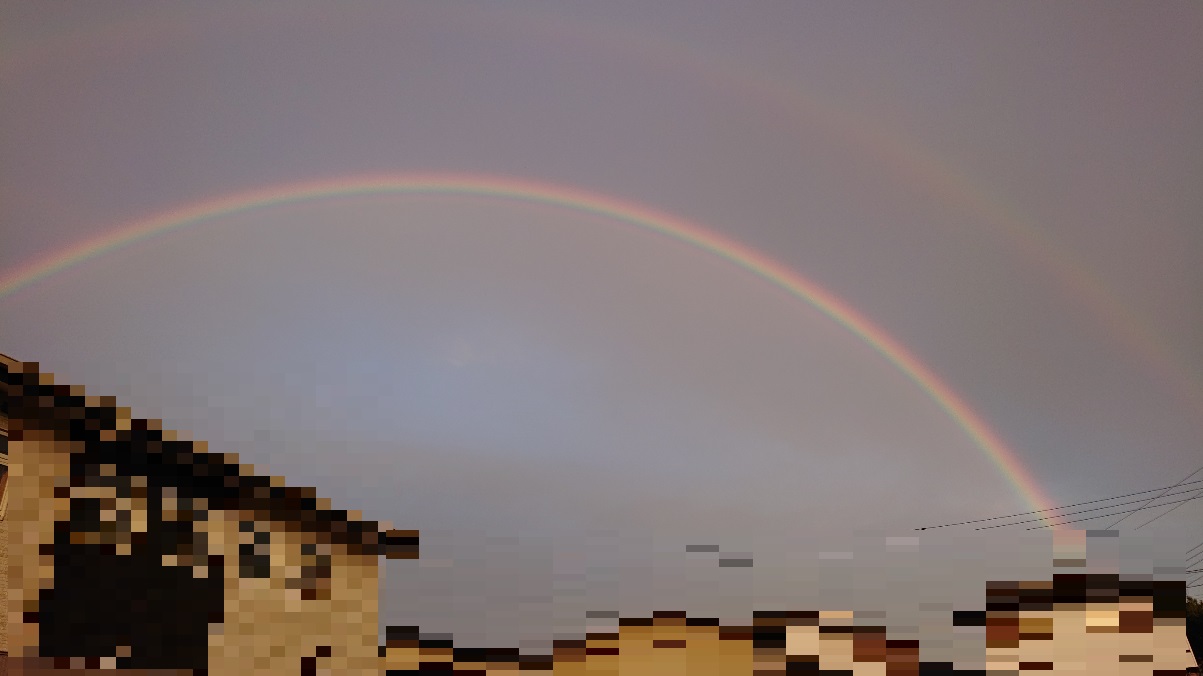 ���N���͎O���̓��I