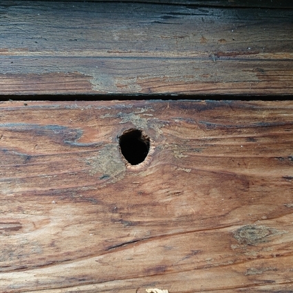 ���N���͎O���̓��I