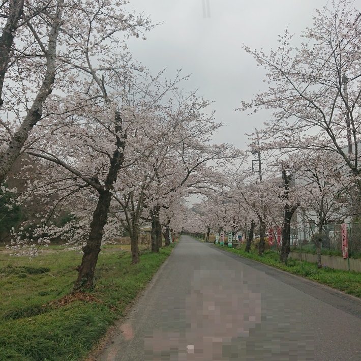 ���N���͎O���̓��I