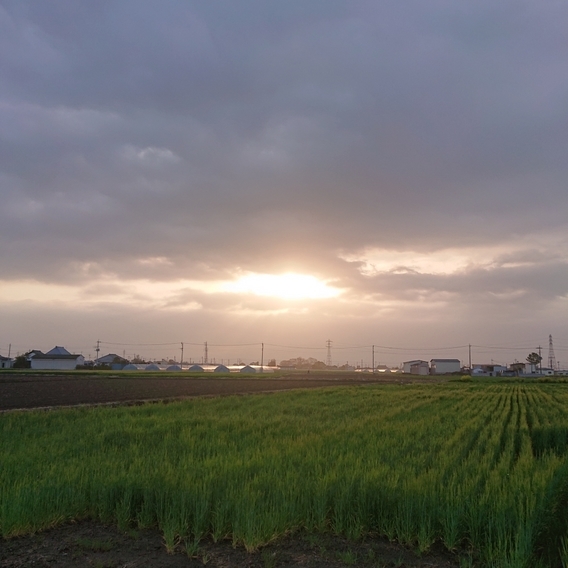 ���N���͎O���̓��I