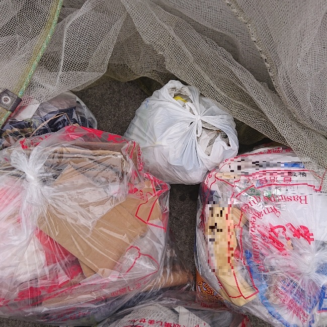 ���N���͎O���̓��I