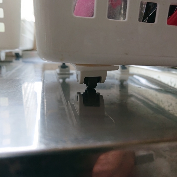 ���N���͎O���̓��I