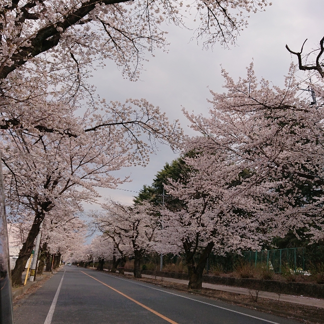 ���N���͎O���̓��I