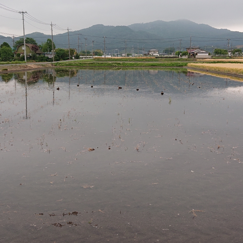 ���N���͎O���̓��I