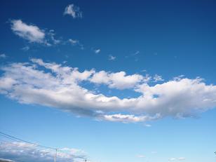 ���N���͎O���̓��I