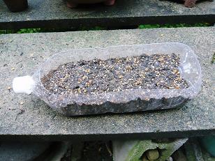 ���N���͎O���̓��I