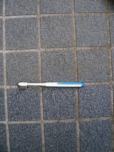 ���N���͎O���̓��I