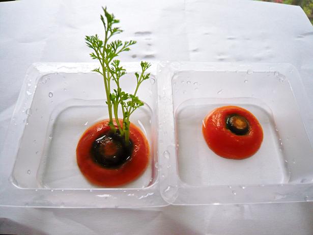 ���N���͎O���̓��I