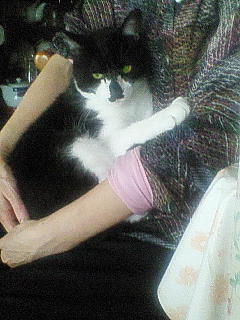 ���N���͎O���̓��I