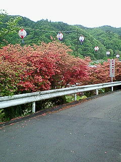 ���N���͎O���̓��I