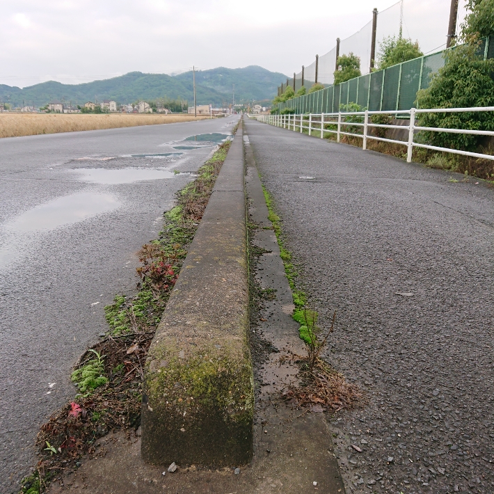 ���N���͎O���̓��I