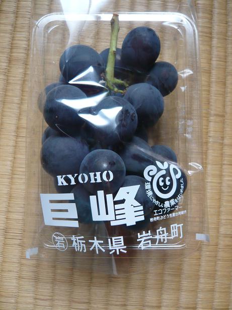 ���N���͎O���̓��I