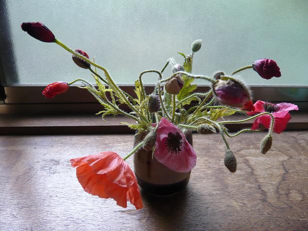 ���N���͎O���̓��I