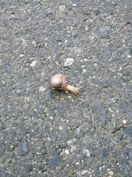 ���N���͎O���̓��I