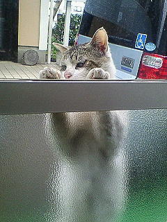 ���N���͎O���̓��I