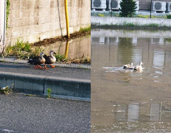 ���N���͎O���̓��I