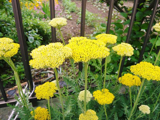 ���N���͎O���̓��I