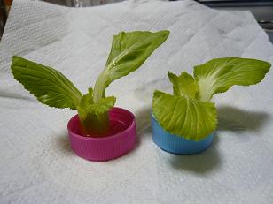 ���N���͎O���̓��I