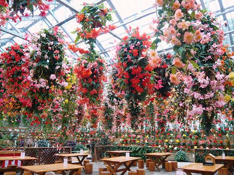 ���N���͎O���̓��I