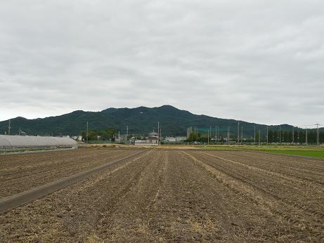 ���N���͎O���̓��I