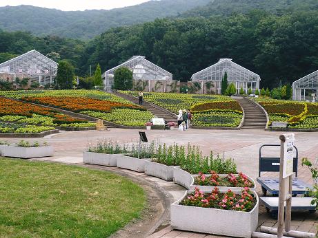 ���N���͎O���̓��I