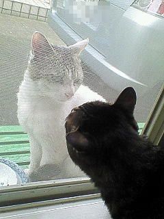 ���N���͎O���̓��I