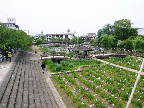 ���N���͎O���̓��I