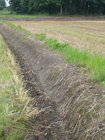 ���N���͎O���̓��I