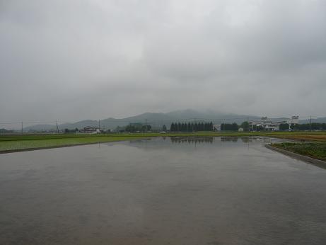 ���N���͎O���̓��I