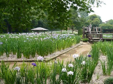 ���N���͎O���̓��I