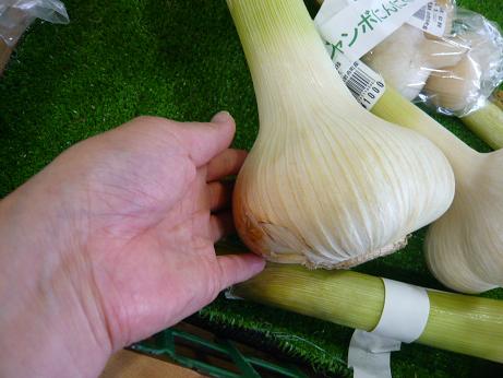 ���N���͎O���̓��I