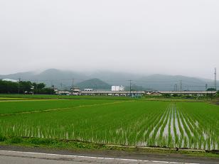 ���N���͎O���̓��I